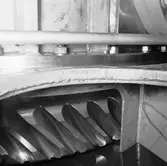 Snäckväxlarna M73 Koster