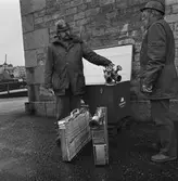 Nya brandlådor å varvet