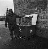 Nya brandlådor å varvet