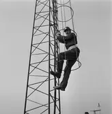 Arbete i telemasten k-v nytt