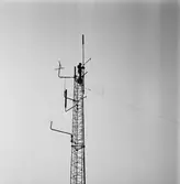 Arbete i telemasten k-v nytt