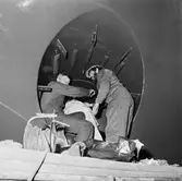 Arbetsbilder på Baltic Print i botten och maskinrum