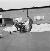 Personal i arbete å segelsömmarverkst.