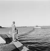 Torpedbåten T46 överlämnas till Kungen