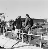 Torpedbåten T46 överlämnas till Kungen