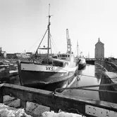 Fiskebåtar i docka 3