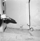 Int av segelfartyget Gladan