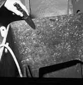 Int av segelfartyget Gladan