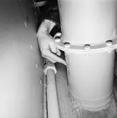 Int av segelfartyget Gladan