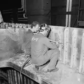 Arbetsbilder i skrovhallen