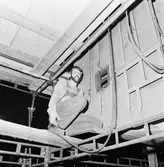 Arbetsbilder i skrovhallen