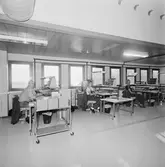 Personal på tele i nya lokaler