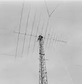 Lyft av telemast med helikopter