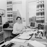 Britta Landin inköp