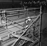 Kungens o Drottningens besök å varvet samt provtur med Norska Sesen