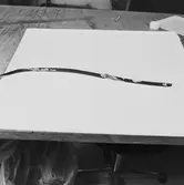 Besök av centerpartiets ledare Olof Johansson