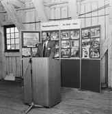 Festen i repslagarbanan