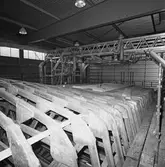 Arbete med Singapore fartyg i plastverkstan NR 1