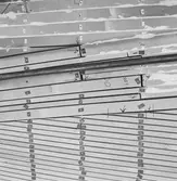 Singapore fartyget i plastverkst. B. NR1