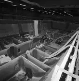 Singapore f. i plastv.