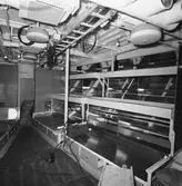 Int o ext av kkv Sundsvall 