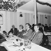 Veteranfesten på Bryggareberget