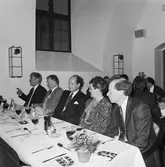 Veteranfesten på Bryggareberget