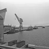 3 st fartyg i oscarsdockan och fartyg vid verkstadskajen