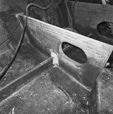 Int o ext av nyb 435, 436 o 437 Singapore