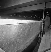 Int o ext av nyb 435, 436 o 437 Singapore