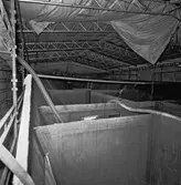 Int o ext av Nyb 435, 436, 437 o 438 Singapore