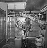 Int av kustbevakningsfartygen kbv 301