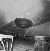 Int o ext av Nyb 435, 437 o 438 Singapore