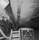 Int o ext av Nyb 435, 437 o 438 Singapore