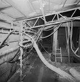 Int o ext av Nyb 435, 437 o 438 Singapore