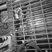 Int av maskinrum Näcken