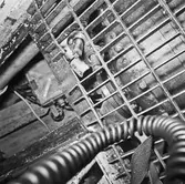 Int av maskinrum Näcken