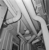 Int o ext av Minf. Visborg