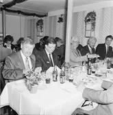 Veteranfesten med lucia