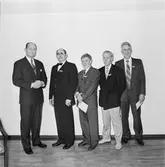 Veteranfesten med lucia