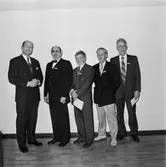 Veteranfesten med lucia