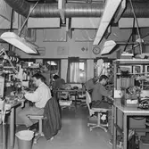 Personal på televerkst. arb. bilder