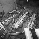 Personalen å plåt och svetsverkst. avslutningsfest