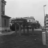 Teleutrustning Tsx 17