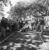 Varvsfesten å Lindholmen