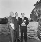 Boken om Karlskronavarvets historia avtäcks i mastkranen