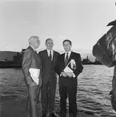 Boken om Karlskronavarvets historia avtäcks i mastkranen