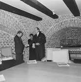 Boken om Karlskronavarvets historia avtäcks i mastkranen