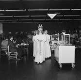 Lucia i matsalen kv-nytt