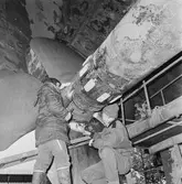 Arbetsbilder från byte av propellerblad Oscarsdockan kv-nytt